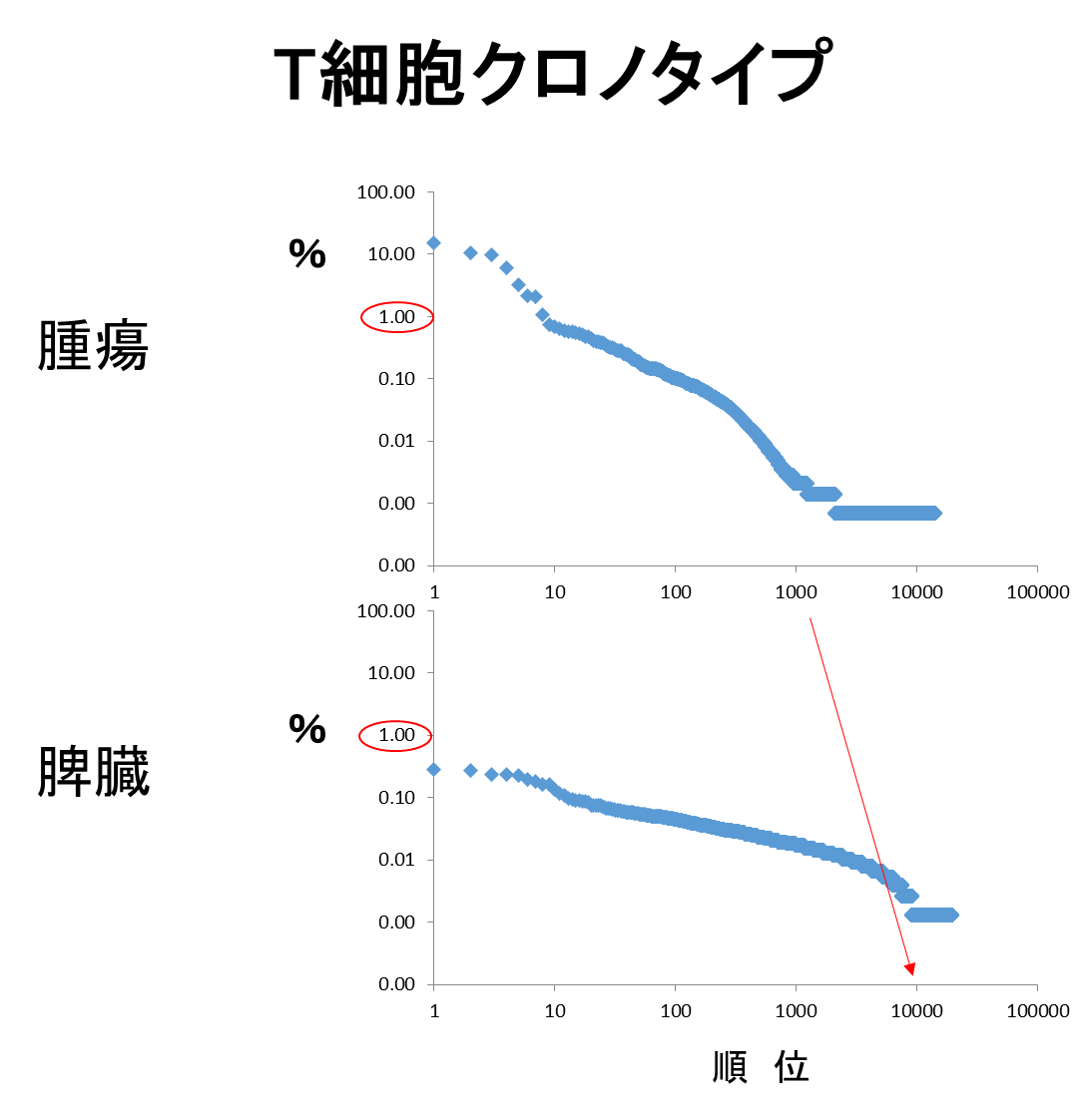 T細胞クロノタイプ