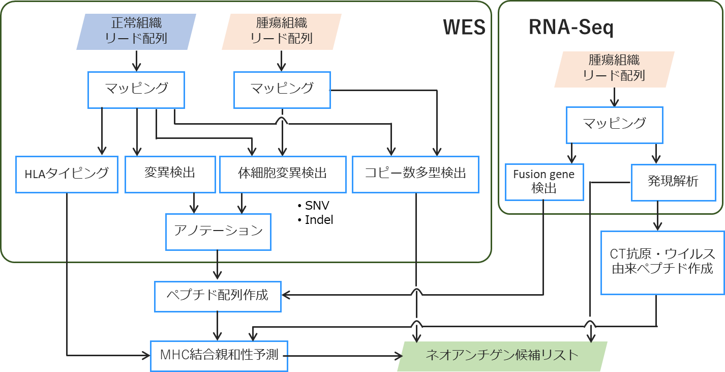 ネオアンチゲン同定パイプライン