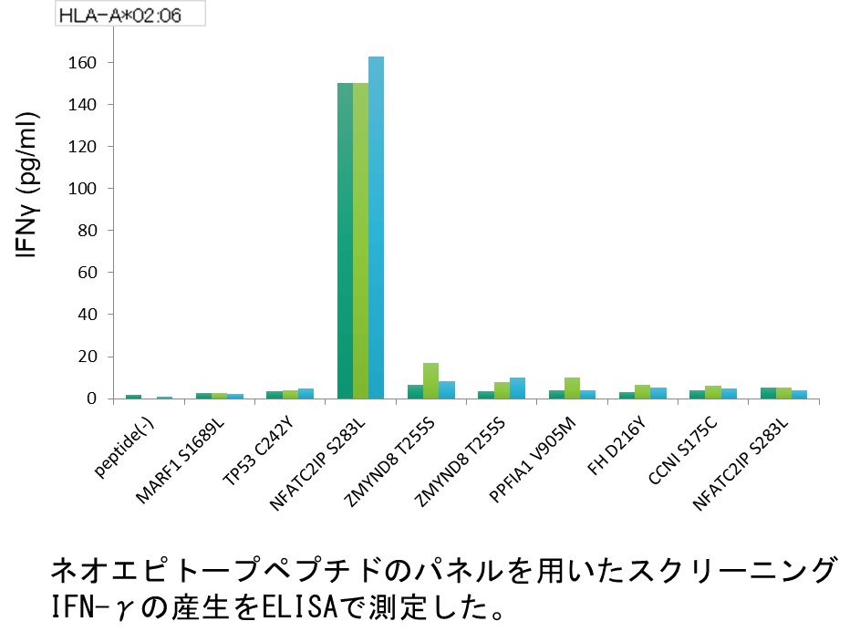 ネオエピトープペプチドのパネルを用いたスクリーニング　IFN-γの産生をELISAで測定した。