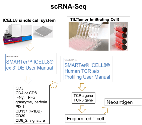 scRNA-Seq