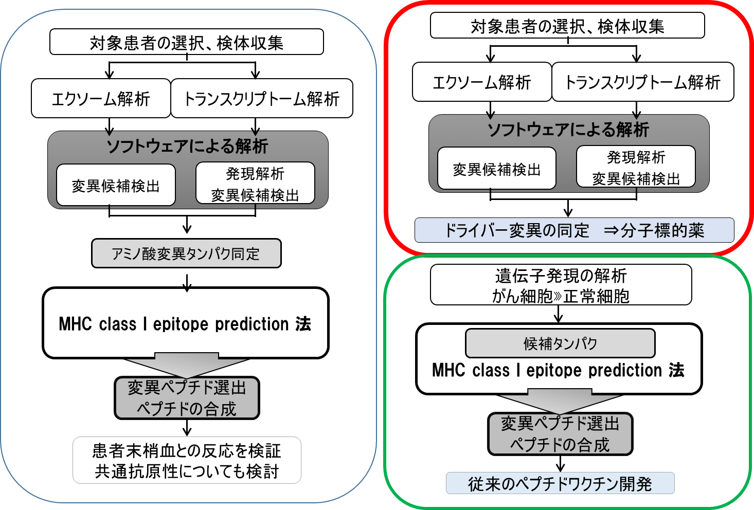 in silicoのがん抗原探索研究が進展