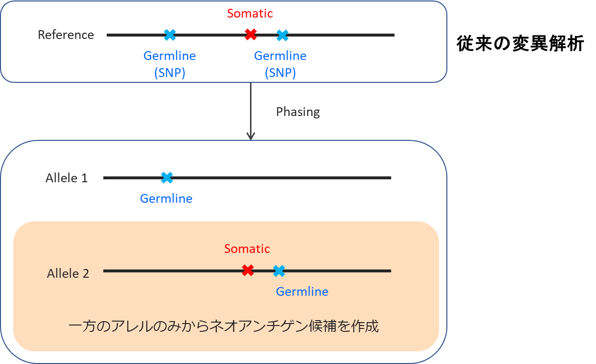 一方のアレルのみからネオアンチゲン候補を作成